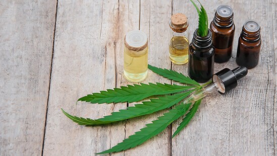 大麻関連施設・育成室のクリーニングおよび除菌